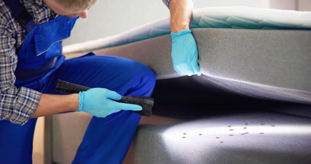 Best Rat Extermination Near Me  in Grantley, PA