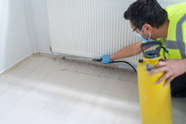 Best Flea Control Services  in Grantley, PA